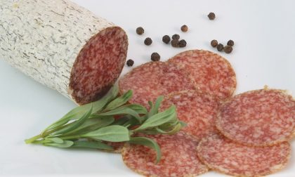 Allerta alimentare: richiamato lotto di salame a rischio salmonella