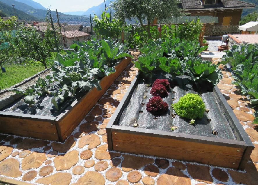 La pandemia non ferma la voglia di coltivare orti in Valle: 5 ex aequo