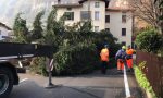 Pensionati e Protezione Civile impegnati nella potatura degli alberi dei Parchi comunali