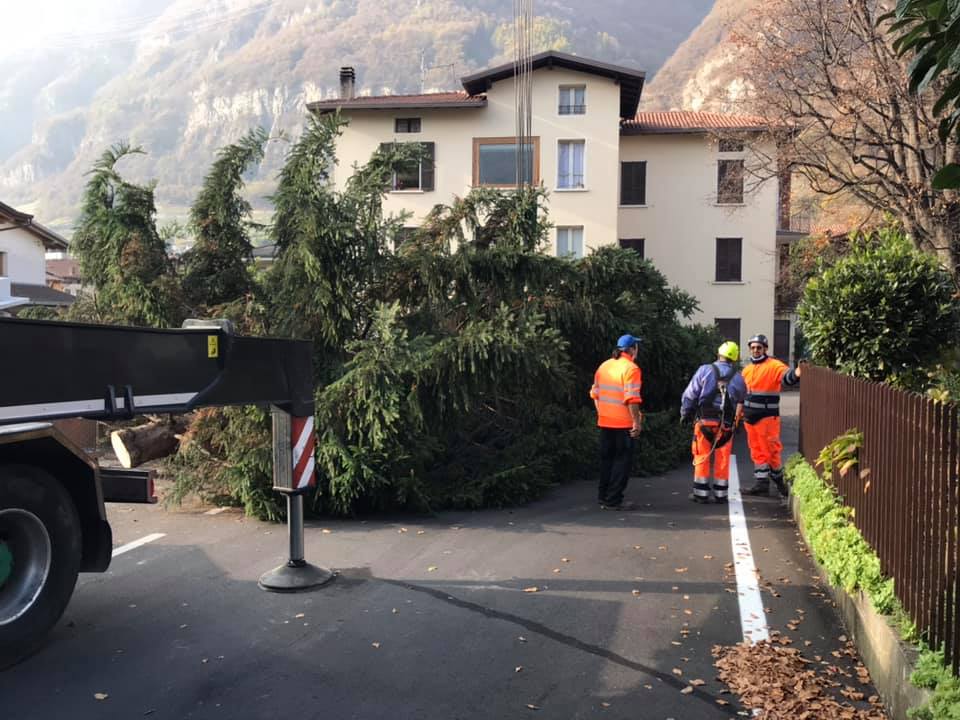 Pensionati e Protezione Civile impegnati nella potatura degli alberi dei Parchi comunali