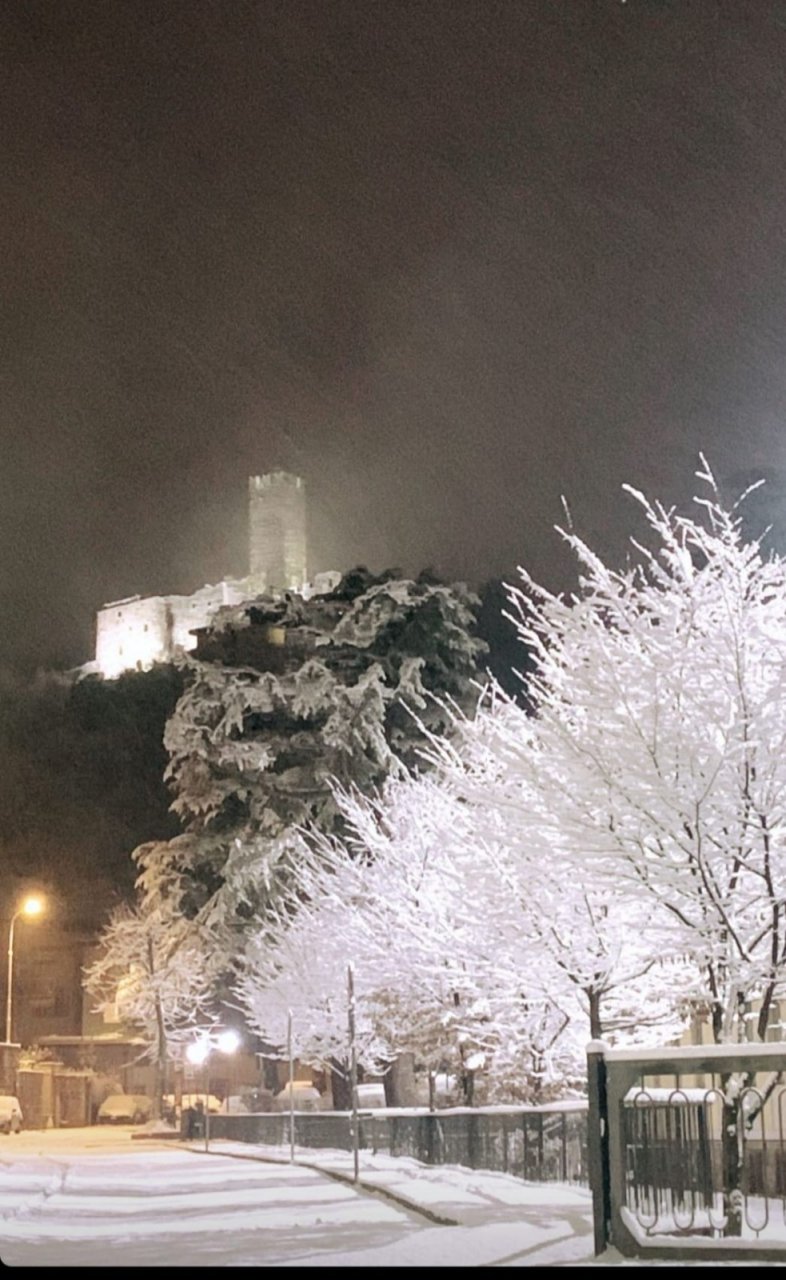 La nevicata che seppellisce (si spera) il 2020