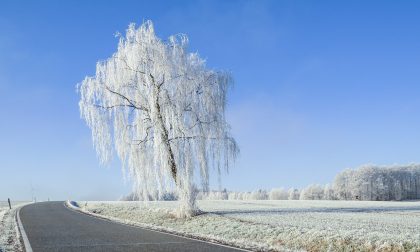Neve a Capodanno? Forse, ma nel caso pochissimi centimetri | Previsioni Meteo Lombardia
