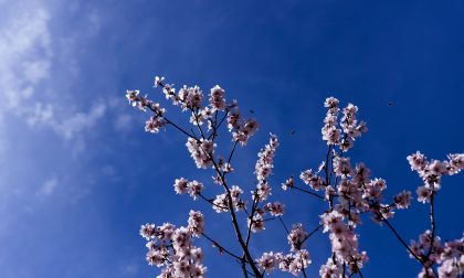Ancora niente pioggia in Lombardia, weekend con sole e temperature primaverili