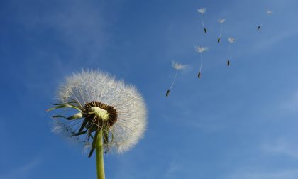 Inizio settimana con cieli azzurri e un po' di vento | Meteo Lombardia