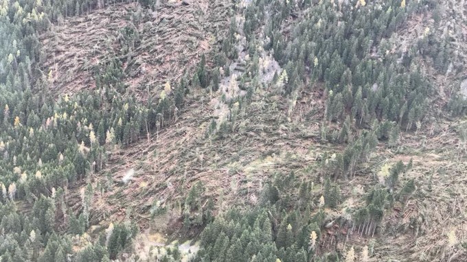Tempesta Vaia, in arrivo 6 milioni dalla Regione