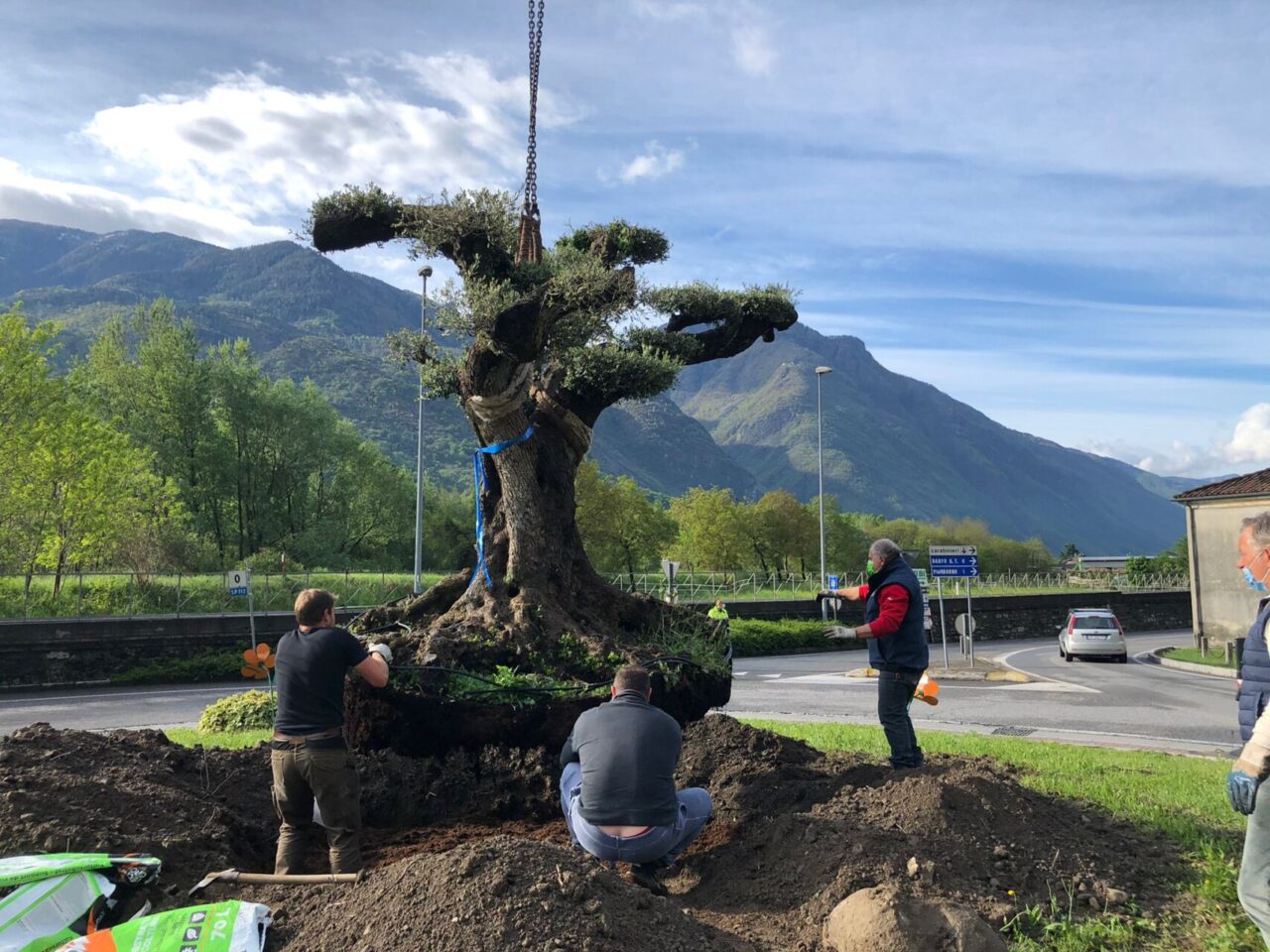 Nuovi alberi, un ulivo secolare, filari di vite e piantine in fiore: il paese si trasforma in un unico grande giardino