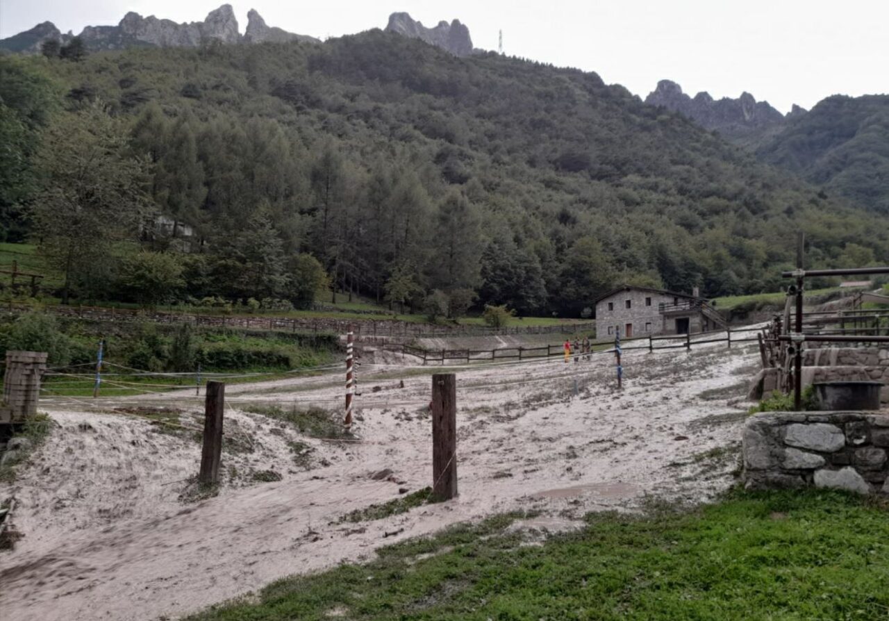 Cristina e il Little Ranch travolto dall’acqua: “Tanti danni, gli animali sono salvi e ora…”