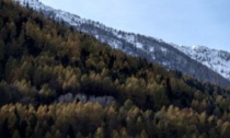 La Val Camonica fa il pieno: 1.738.000 euro nel triennio per gli interventi “forestali”