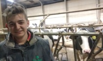 Walter, 17 anni, e le sue 270 mucche