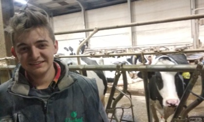 Walter, 17 anni, e le sue 270 mucche