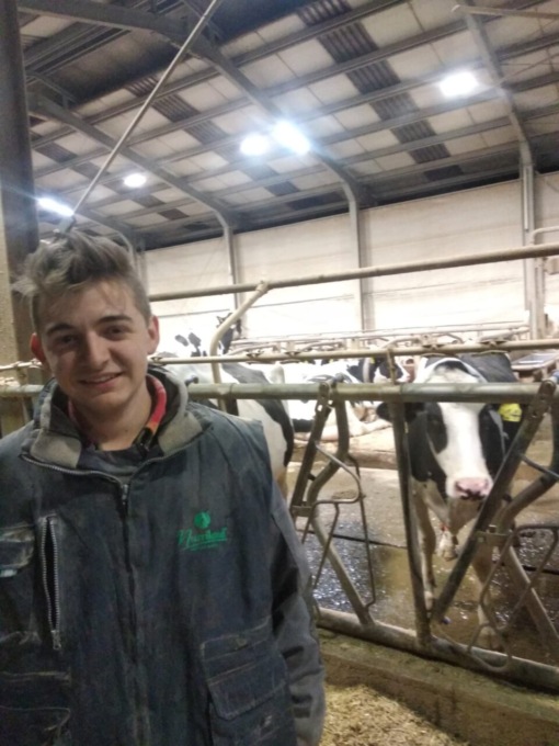 Walter, 17 anni, e le sue 270 mucche