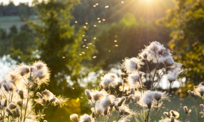 In Lombardia ancora niente pioggia e sole ad oltranza, temperature in risalita