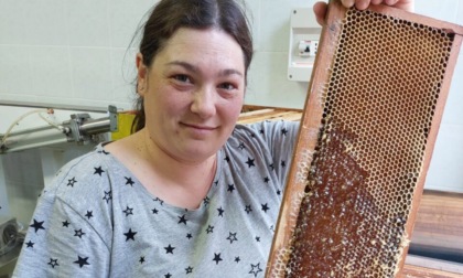 PISOGNE - ARTOGNE - Sara e le sue api: “Me ne sono innamorata da piccola grazie  a papà. Dopo la moria dell’anno scorso sono ripartita...”