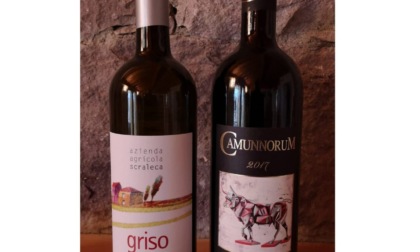 Due vini camuni, il Griso e il Camunnorum, sul tetto del mondo