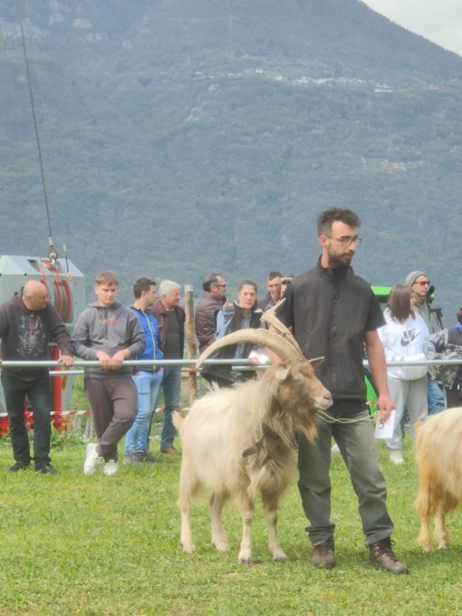 Matteo e la passione per gli animali: “Spero in un ritorno all’allevamento dei giovani come me”