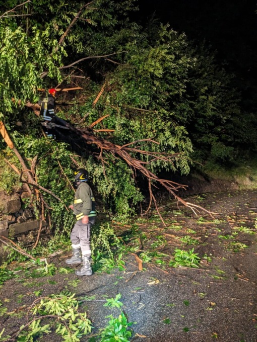 Allagamenti e alberi caduti in strada: gli interventi dei vigili del fuoco