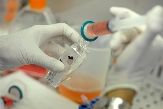 Daniele Petrucci (da Lovere), il primo al mondo che ‘inventò’ l’inseminazione artificiale