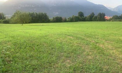 Legambiente bussa alla porta di ASST per la Casa di Comunità