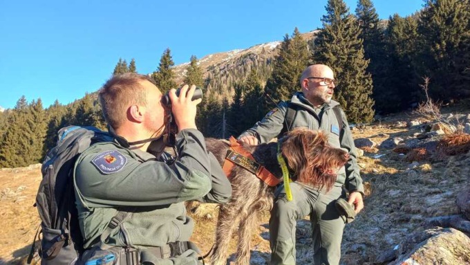 Bocconi avvelenati nei boschi della Val Seriana, denunciato il responsabile trovato dal cane-agente Sole