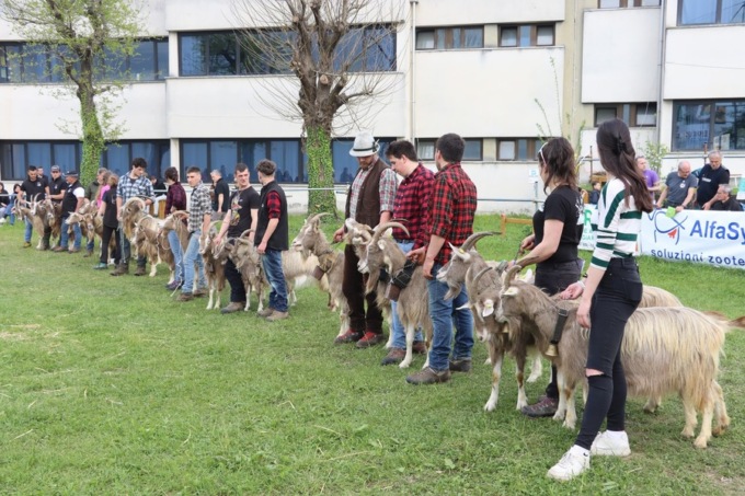 Il fotoracconto della Rassegna Zootecnica