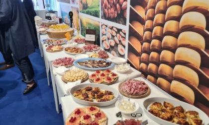 Dalla terra alla tavola: la qualità che nasce dai campi lombardi