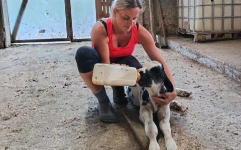 Alice e la sua azienda agricola ‘Il larice’: “Sacrifici e grande passione, non farei altro nella vita”