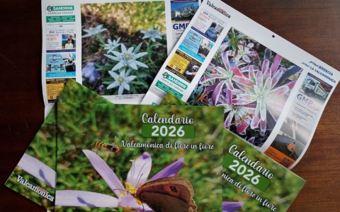Tre calendari in omaggio, tre racconti diversi. Il calendario dei fiori in regalo con il numero di Araberara Valcamonica vi aspetta in edicola dal 21 novembre