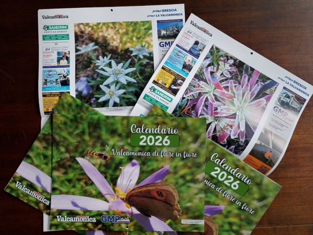 Tre calendari in omaggio, tre racconti diversi. Il calendario dei fiori in regalo con il numero di Araberara Valcamonica vi aspetta in edicola dal 21 novembre