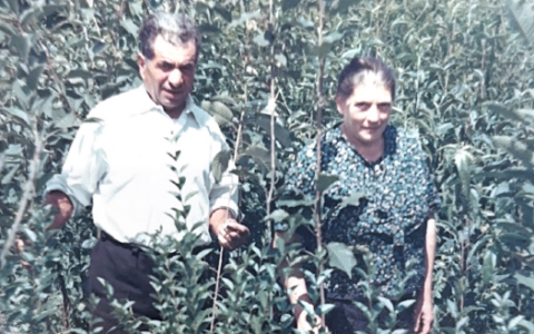 Viaggio nel Vivaio Bontempi, che profuma di primavera e di storia: “Dalle barbatelle del bisnonno ai fiori e le piante da giardino”
