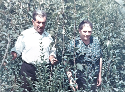 Viaggio nel Vivaio Bontempi, che profuma di primavera e di storia: “Dalle barbatelle del bisnonno ai fiori e le piante da giardino”