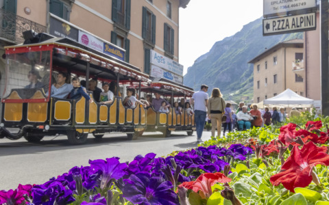 Fiera dei Fiori, tra sorrisi e collaborazione, eventi e cultura